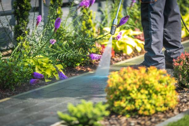 Best Gutter Cleaning  in Reedurban, OH
